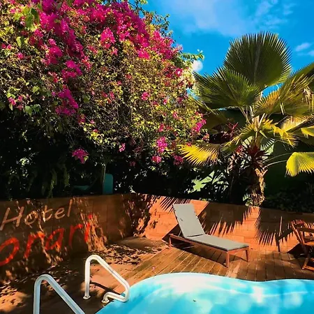 Hotel Borari-3